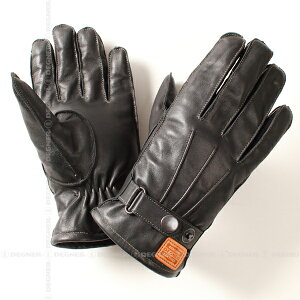 WG-12 EB^[O[uiubNjSTCY WINNTER GLOVE DEGNERifOi[j