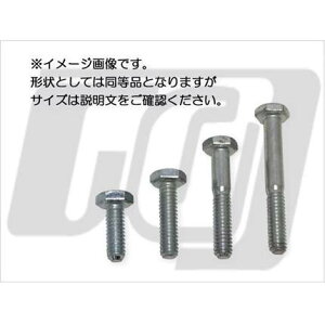 HEX{g7/16-14 x2"WN@GUTS CHROMEiKbcN[j