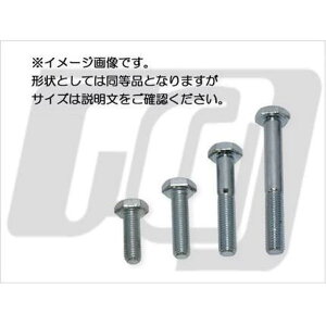 HEX{g5/16-24 x1"WN@GUTS CHROMEiKbcN[j