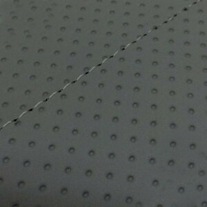 DJ-1 RR iAF19j ւ^Cv {V[gJo[ G{XO[/Xeb` GRONDEMENTiOh}j