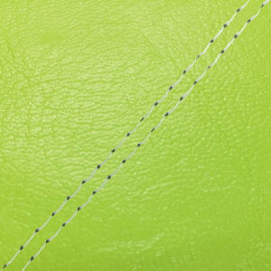 DJ-1 RR iAF19j ւ^Cv {V[gJo[ CO[/_uXeb` GRONDEMENTiOh}j