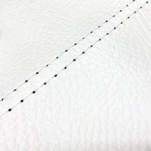 DJ-1 RR iAF19j ւ^Cv {V[gJo[ /_uXeb` GRONDEMENTiOh}j