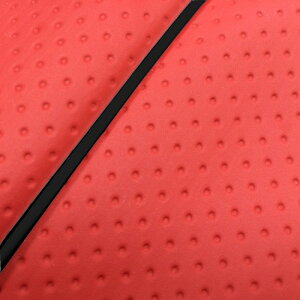 DJ-1 RR iAF19j ւ^Cv {V[gJo[ tG{Xbh/pCsO GRONDEMENTiOh}j