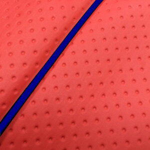 DJ-1 RR iAF19j ւ^Cv {V[gJo[ tG{Xbh/pCsO GRONDEMENTiOh}j