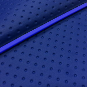 DJ-1 RR iAF19j ւ^Cv {V[gJo[ tG{Xu[/pCsO GRONDEMENTiOh}j