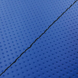 DJ-1 RR iAF19j ւ^Cv {V[gJo[ tG{Xu[/Xeb` GRONDEMENTiOh}j