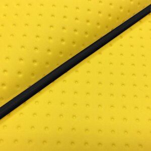 DJ-1 RR iAF19j ւ^Cv {V[gJo[ tG{XCG[/pCsO GRONDEMENTiOh}j