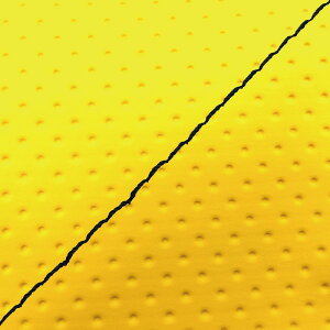 DJ-1 RR iAF19j ւ^Cv {V[gJo[ tG{XCG[/Xeb` GRONDEMENTiOh}j