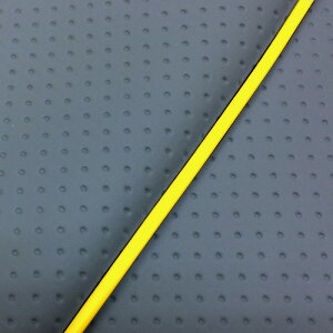 DJ-1 RR iAF19j ւ^Cv {V[gJo[ tG{XO[/FpCsO GRONDEMENTiOh}j