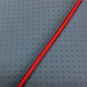 DJ-1 RR iAF19j ւ^Cv {V[gJo[ tG{XO[/ԃpCsO GRONDEMENTiOh}j