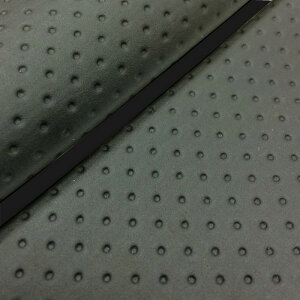 DJ-1 RR iAF19j ւ^Cv {V[gJo[ tG{XubN/pCsO GRONDEMENTiOh}j