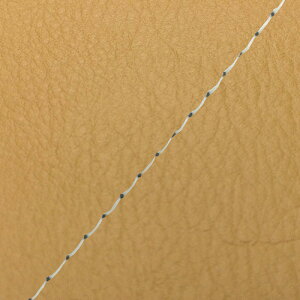 DJ-1 RR iAF19j ւ^Cv {V[gJo[ yF/Xeb` GRONDEMENTiOh}j