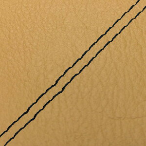 DJ-1 RR iAF19j ւ^Cv {V[gJo[ yF/_uXeb` GRONDEMENTiOh}j