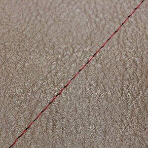 DJ-1 RR iAF19j ւ^Cv {V[gJo[ _[NuE/ԃXeb` GRONDEMENTiOh}j