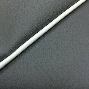 DJ-1 RR iAF19j ւ^Cv {V[gJo[ _[NO[/pCsO GRONDEMENTiOh}j