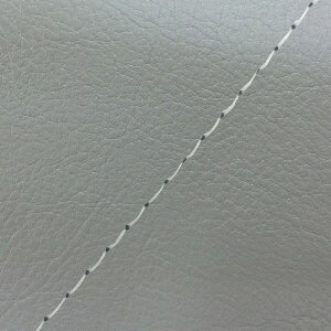 DJ-1 RR iAF19j ւ^Cv {V[gJo[ _[NO[/Xeb` GRONDEMENTiOh}j