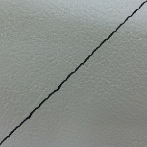 DJ-1 RR iAF19j ւ^Cv {V[gJo[ _[NO[/Xeb` GRONDEMENTiOh}j