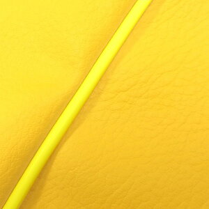 DJ-1 RR iAF19j ւ^Cv {V[gJo[ CG[/FpCsO GRONDEMENTiOh}j