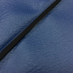 DJ-1 RR iAF19j ւ^Cv {V[gJo[ lCr[/pCsO GRONDEMENTiOh}j