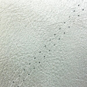 DJ-1 RR iAF19j ւ^Cv {V[gJo[ Vo[/_uXeb` GRONDEMENTiOh}j