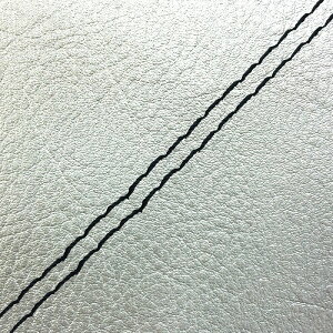 DJ-1 RR iAF19j ւ^Cv {V[gJo[ Vo[/_uXeb` GRONDEMENTiOh}j