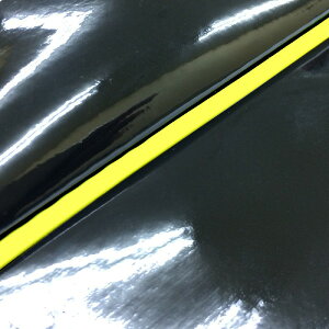 DJ-1 RR iAF19j ւ^Cv {V[gJo[ GiubN/FpCsO GRONDEMENTiOh}j