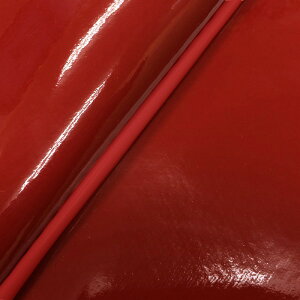 DJ-1 RR iAF19j ւ^Cv {V[gJo[ Gibh/ԃpCsO GRONDEMENTiOh}j