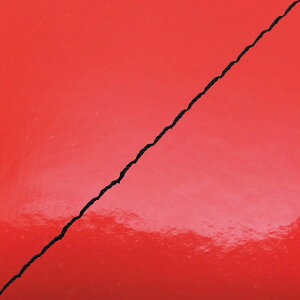 DJ-1 RR iAF19j ւ^Cv {V[gJo[ Gibh/Xeb` GRONDEMENTiOh}j