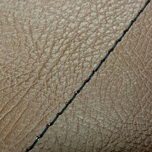 DJ-1 RR iAF19j ւ^Cv {V[gJo[ /Xeb` GRONDEMENTiOh}j