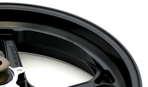 DUCATI 1199 TYPE-GP1SiA~jEjmA[pbzC[ cubN 6.00-17iAj GALE SPEEDiQCXs[hj