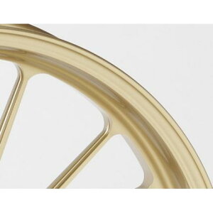 TYPE-SiA~jEjbzC[ S[h F350-17 GALE SPEEDiQCXs[hj GPZ900R NinjaijWj A7`