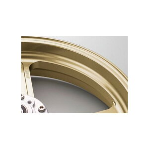 Z900RS(18年) TYPE-R アルミニウム鍛造ホイール ゴールド 600-17 リア用 GALE SPEED(ゲイルスピード)