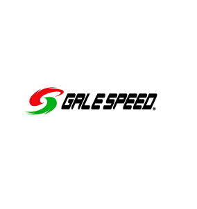 ZX-25R/SE�i20�`21�N�j �t�����g�p 350-17 �\���b�h�z���C�g �iTYPE-GP1S�jG�R�[�g GALE SPEED�i�Q�C���X�s�[�h�j