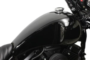 hbOX^[400/NVbNiLuԁj GOXgb`^NLbg TtF[T[dグiDFj K[WTF