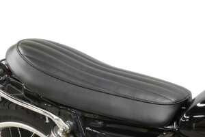 SR400iLuԁj o[`JV[giFace-4j K[WTF