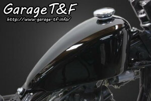 250TR XX|[cX^[^NLbg K[WTF