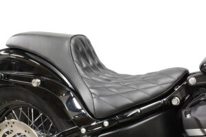 \teCiSOFTAILj 2018N`fp@Kt@C^[V[gi_Cj K[WTF