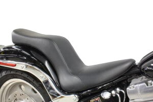 \teCiSOFTAILj 200Ch^Cp@_uV[giX[Xj K[WTF