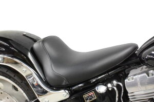 \teCiSOFTAILj 200Ch^Cp@VOV[giX[Xj K[WTF