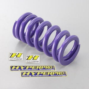 WR250Ri07`16Nj AXvOi[_E^Cv-40mmj nCp[viHYPER PROj