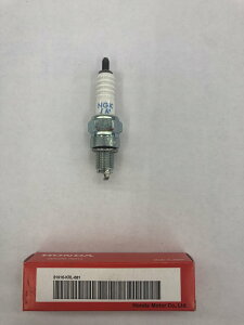 �C���W�E���v���O�i�����O���[�`�jSILR6A7S HONDA�i�z���_�j