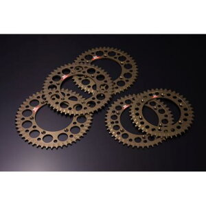 Y-101 ���A�X�v���P�b�g ISA WR250R/X�i07�N�`�j