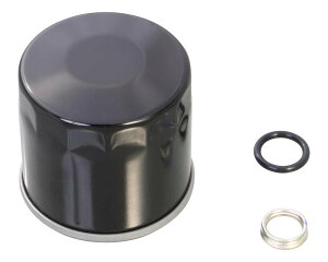 ICtZbg GSX250R (LC6DN11A)EV-Xg[250(LC6DS11A) KITACOiL^Rj