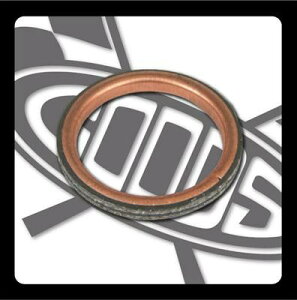 XT500 GL][XgKXPbg GOODSi[^[K[WObYj