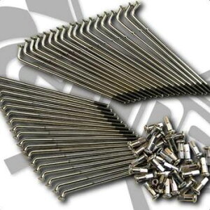 GXgiESTRELLAjfBXN X`[X|[NPi 21C` tg GOODSi[^[K[WObYj