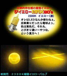 HS5�n�C�p�[�n���Q���w�b�h���C�g�o���u12v- 35/30w S2�C�G���[�}�b�N�X80's M��H�i�}�c�V�}�j