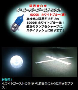 HS1/H4nCp[nQwbhCgou12v- 35/35w S2X[p[S[Xg6000 MHi}cV}j