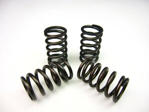 XR100^[h Nb`XvOol[g20%Abv MINIMOTOi~jgj