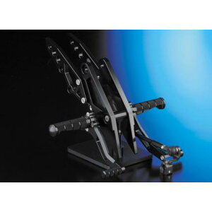 obNXebviubNj NITRO RACINGiiCg[VOj [t@[1100iZEPHYRj