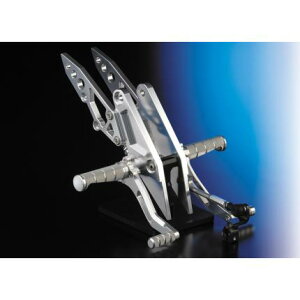 obNXebviVo[j NITRO RACINGiiCg[VOj [t@[1100iZEPHYRj